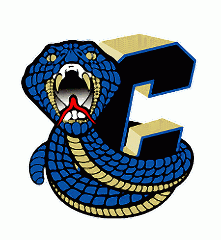 columbus cottonmouths 2004-pres alternate logo v2 iron on transfers for T-shirts